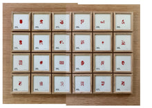 Afbeelding in Gallery-weergave laden, Plant zeefdrukken 15 x 15 cm met lijst