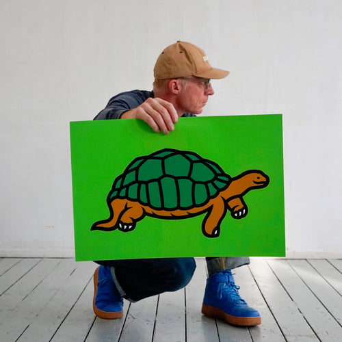 Screenprint, Turtle